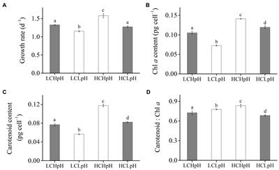 Disentangling the Effects of Ocean Carbonation and Acidification on Elemental Contents and Macromolecules of the Coccolithophore Emiliania huxleyi